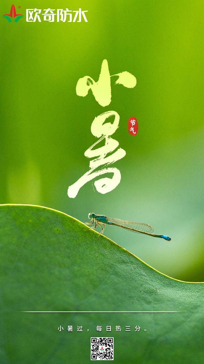 小暑欧奇