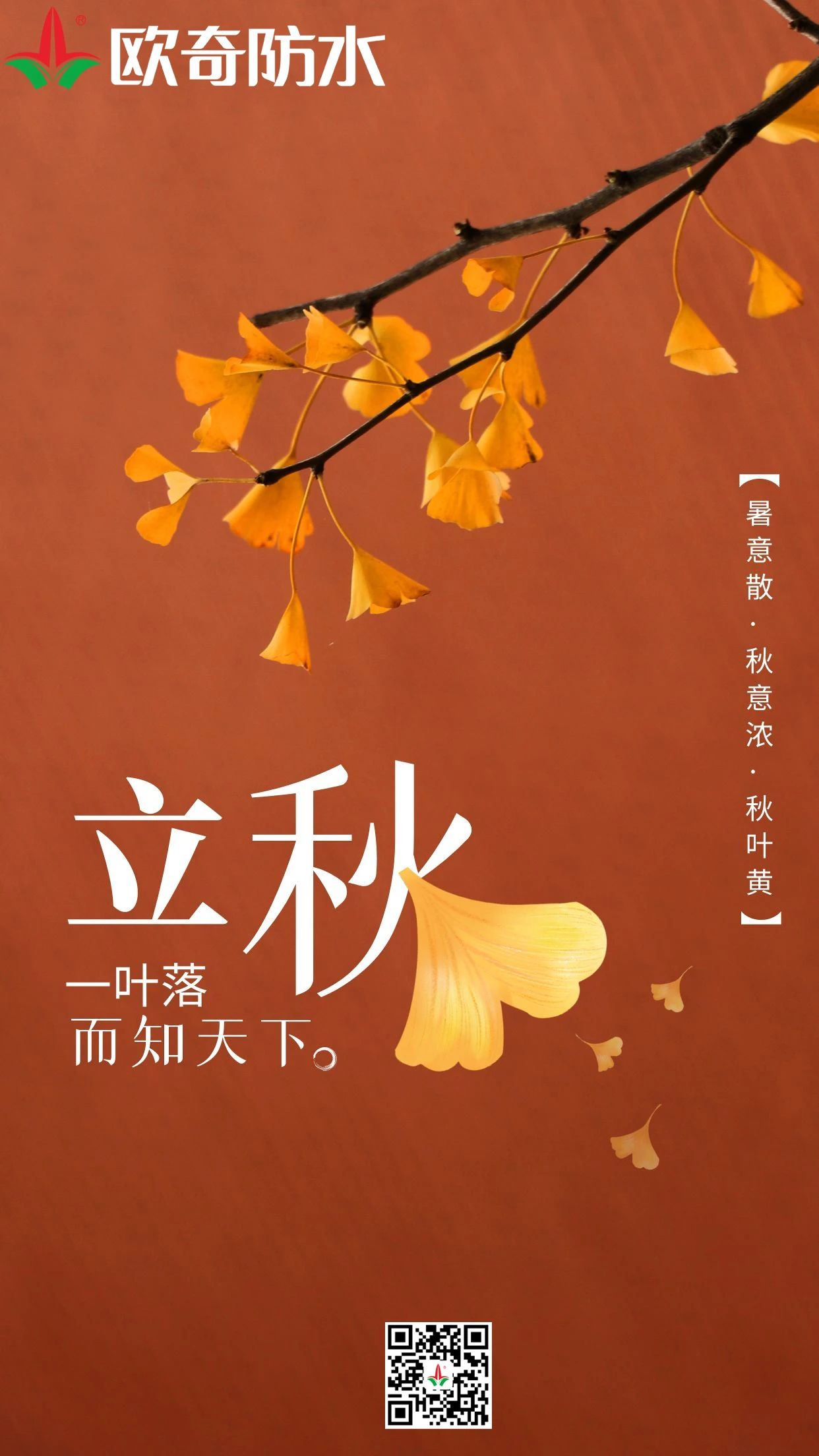 立秋欧奇