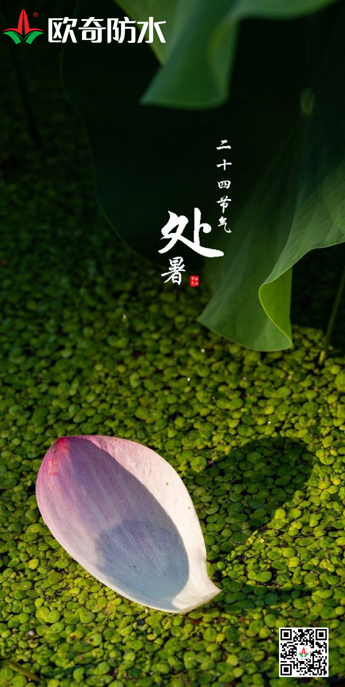 欧奇处暑