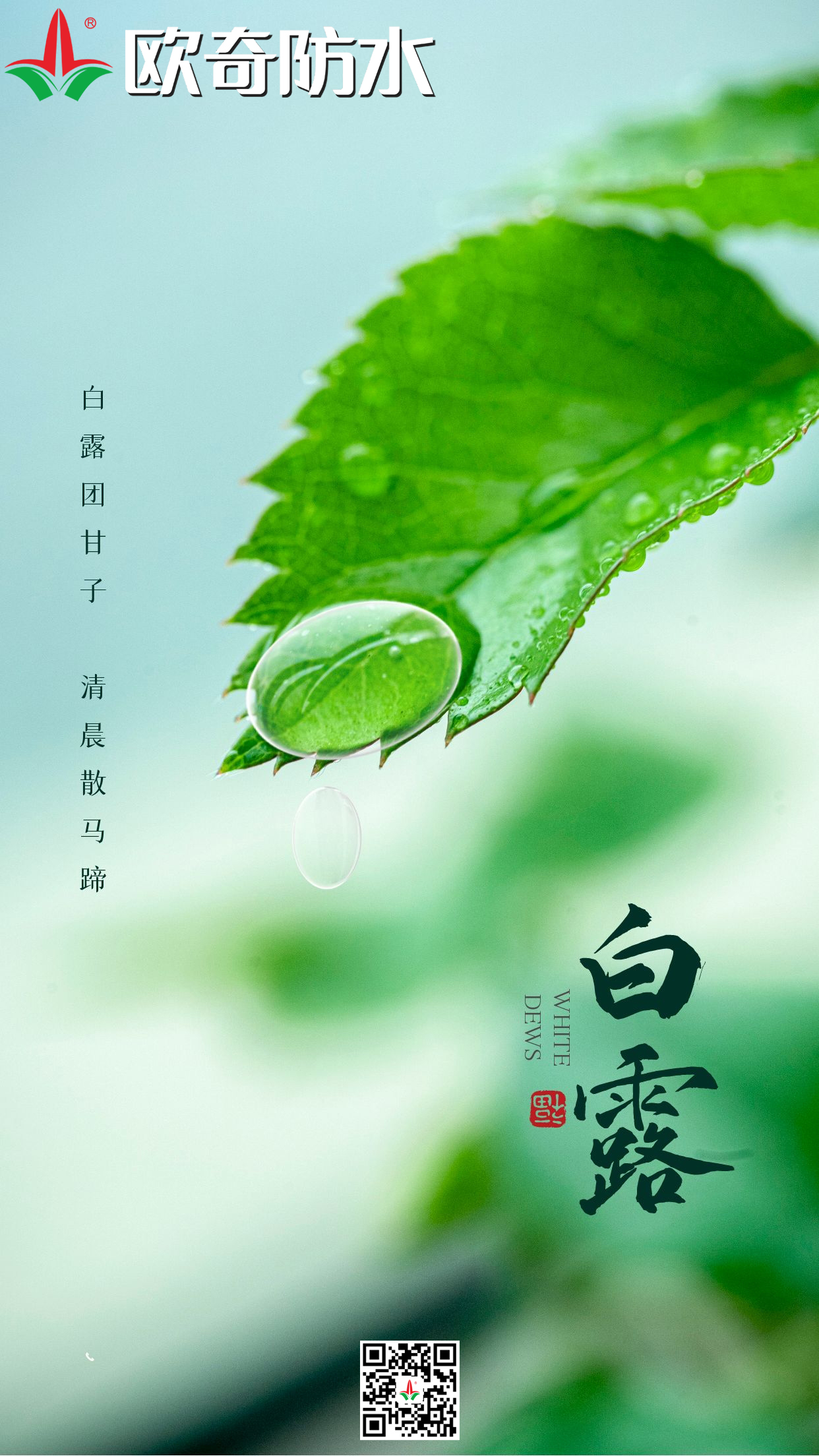 白露欧奇