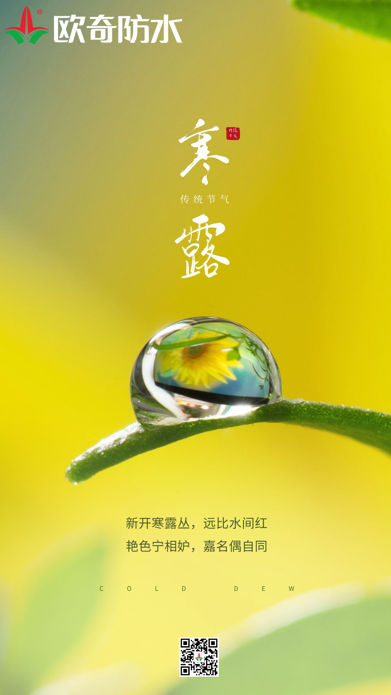 寒露欧奇