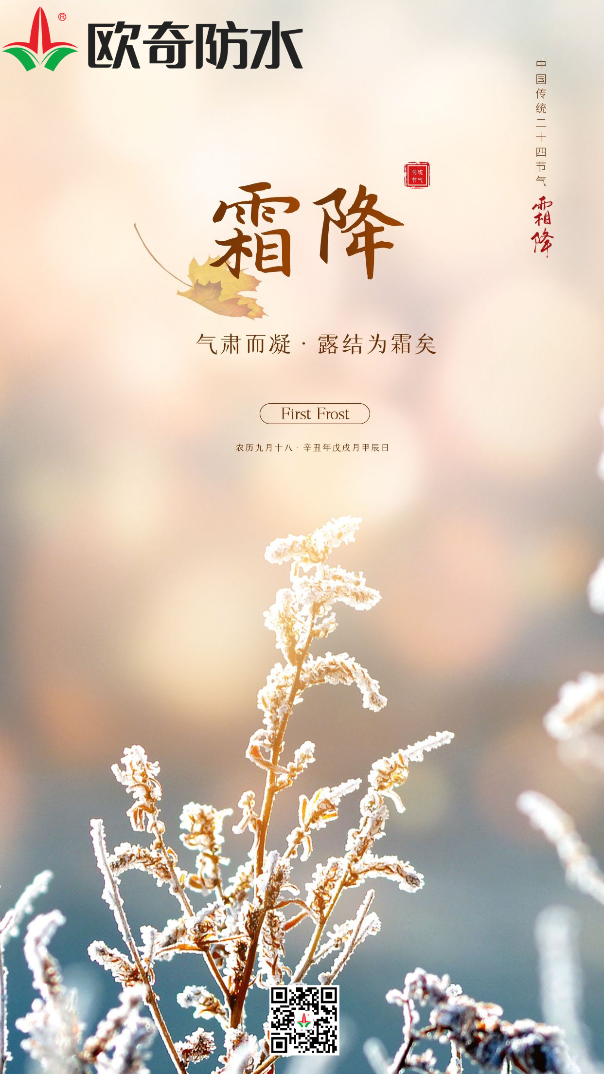 霜降欧奇