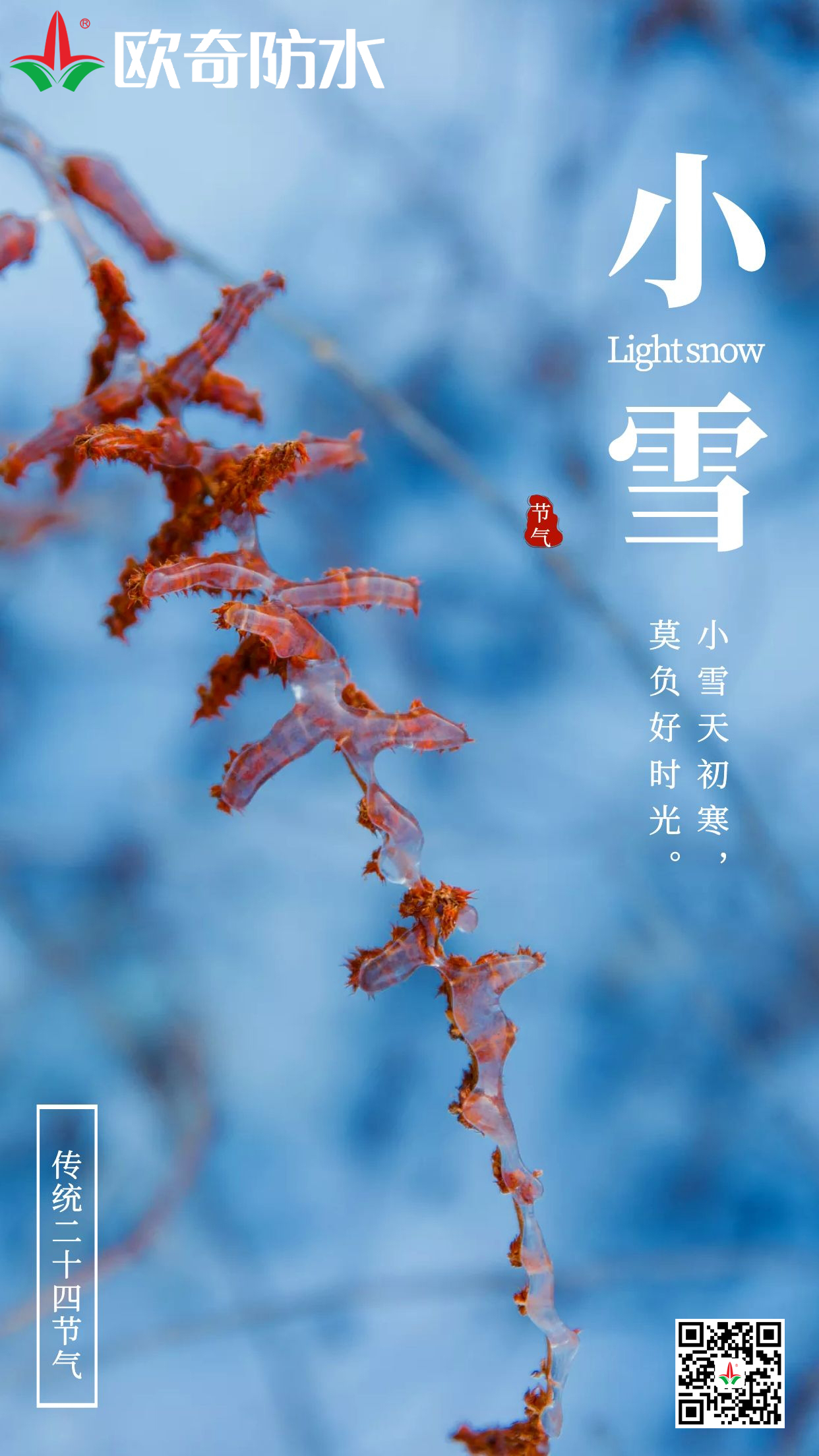 小雪欧奇