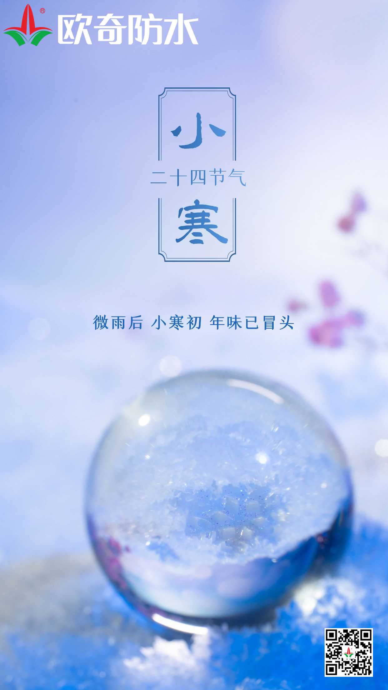 小寒欧奇