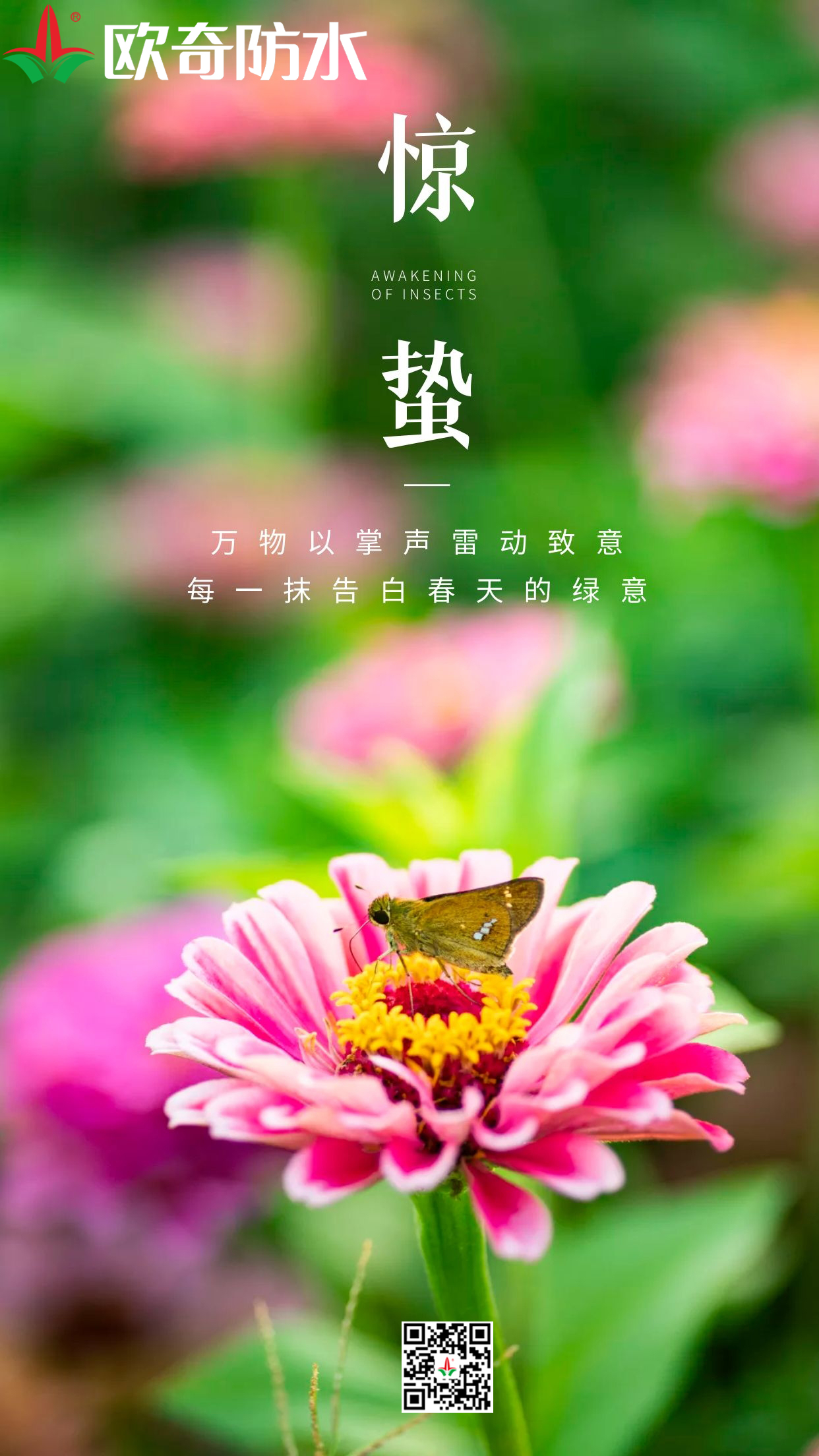 惊蛰欧奇