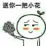 香港宝典免费资料网
